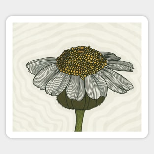 White Flower Line art with background illustration Sticker